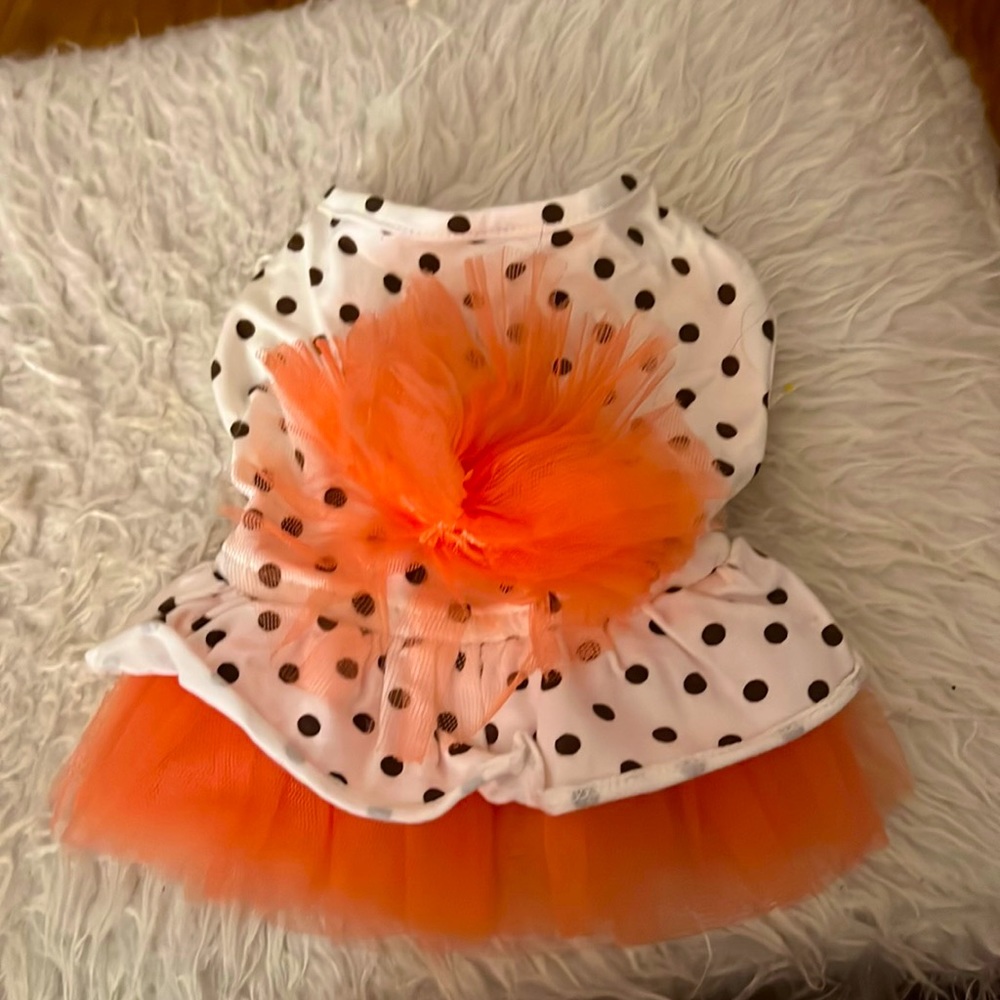 Orange tutu white and grey polka dot dress very dress very cute